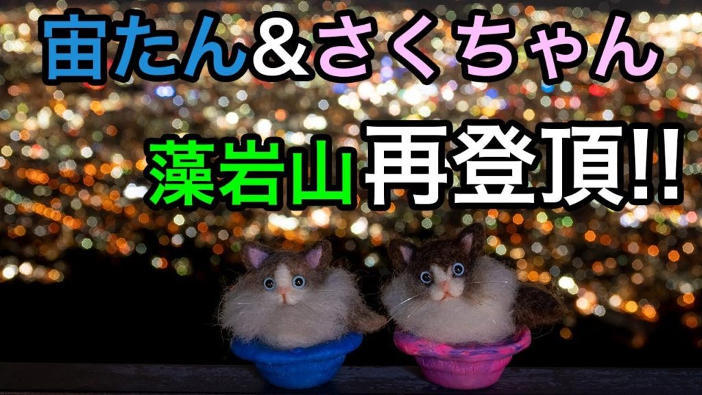 【北海道・札幌】藻岩山山頂から見る札幌の夜景　The Night View of Sapporo Seen from the Summit of Mt  Moiwa, Hokkaido.