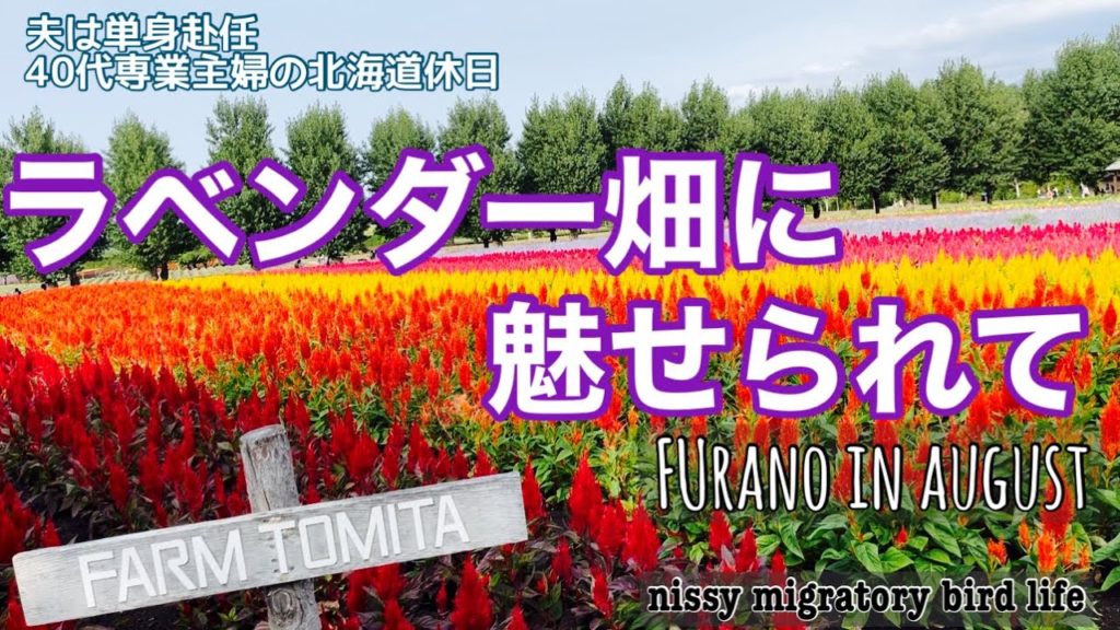 夏#20 8月の富良野/2度目のファーム富田/国産ラベンダーの歴史/Furano/Farm Tomita/Lavender 夏#20 8月の富良野/2度目のファーム富田/国産ラベンダーの歴史/Furano/Farm Tomita/Lavender