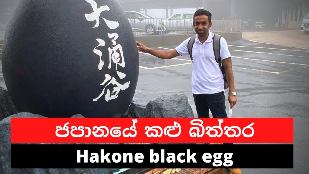 Hakone trip day - 01| හකොනෙ සංචාරයේ පළමු දිනය #salindasenarath