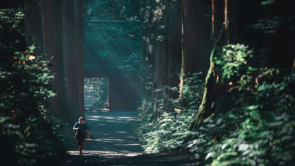 [4K] Japan Trip | Togakushi Shrine "Okusya" (戸隠神社 ”奥社”)