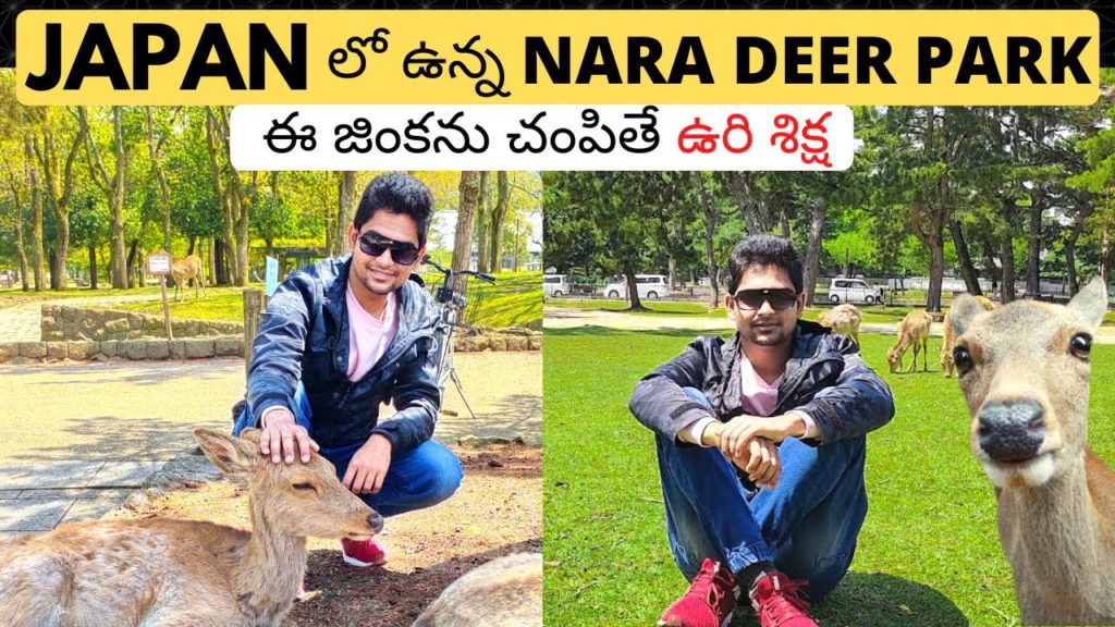 World Famous DEER PARK in JAPAN | Must Visit NARA PARK | Sika Deer | Telugu Vlog | Japan Travel