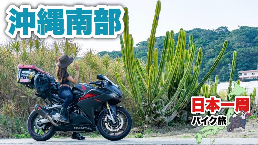 沖縄南部ツーリング!巨大サボテンと美海と島猫・・・そして石垣へ飛ぶの巻。 沖縄南部ツーリング!巨大サボテンと美海と島猫・・・そして石垣へ飛ぶの巻。