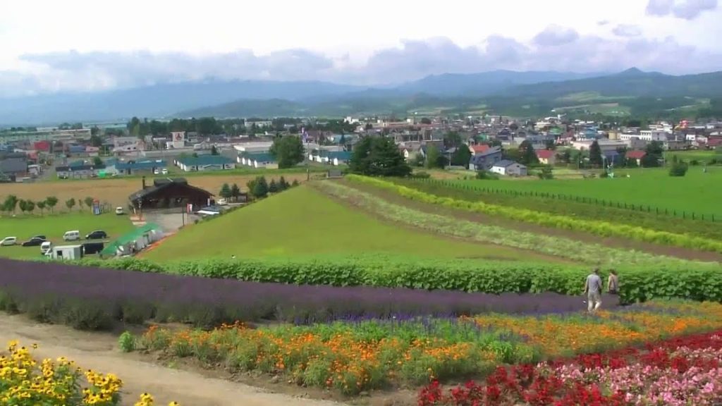 ラベンダー園が美しい日の出公園 @北海道上富良野町 Hinode Park in Kamifurano Hokkaido