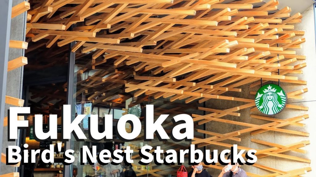 【Fukuoka/Dazaifu 】Walking at Dazaifu Tenmangu Shrine （Starbucks, Umegae-mochi, God of learning  etc）
