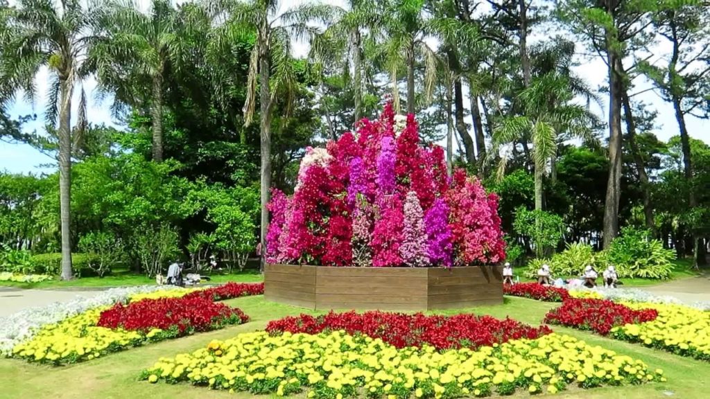 Miyakoh Botanic Garden in Aoshima Miyazaki Kyushu JAPAN