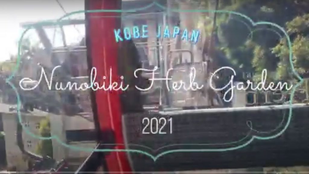 #Japan #travel #kobe 　Kobe nunobiki herb garden Rope Way Trip　神戸ハーブ園ロープーウェイの旅