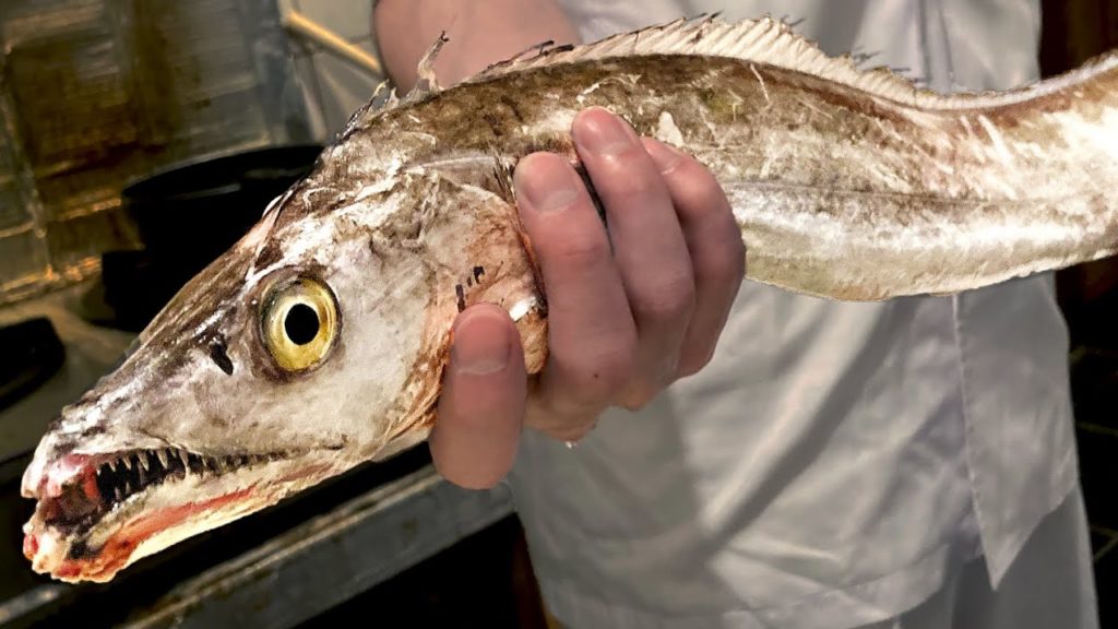 GIANT BELTFISH - Japanese Street Food Grilled Seafood hairtail scabbard cutlass