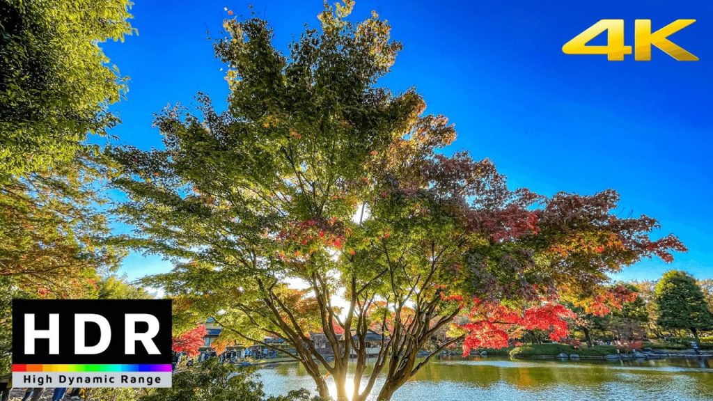 【4K HDR】Long Autumn Walk in Tokyo Tachikawa Showa Kinen Park 2020