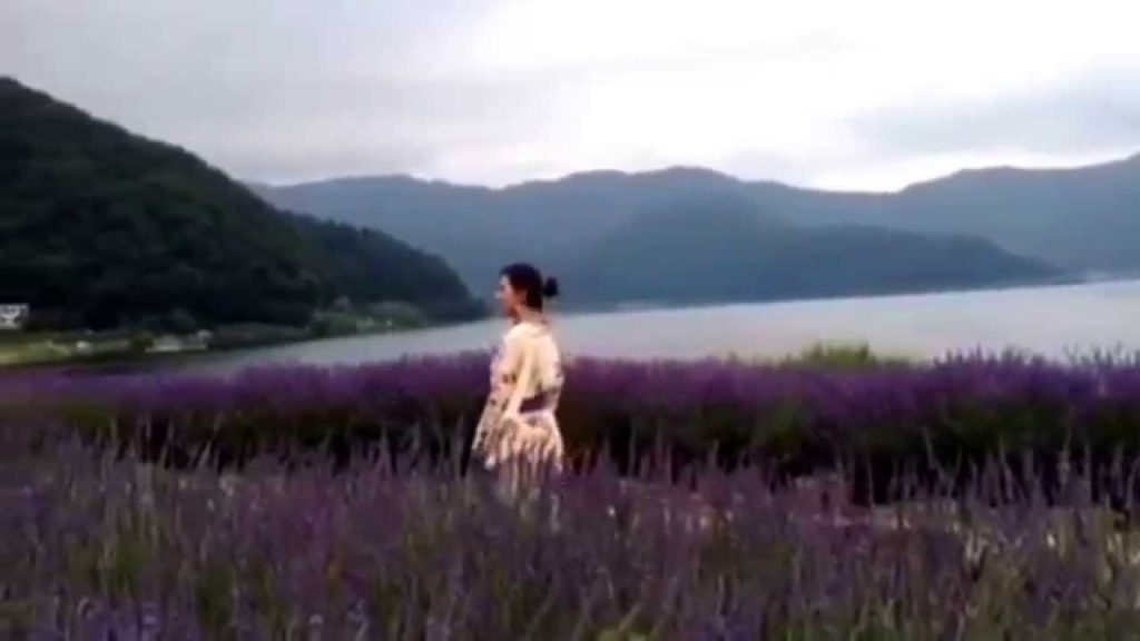 More of Mt. Fuji & Lake Kawaguchi in Japan