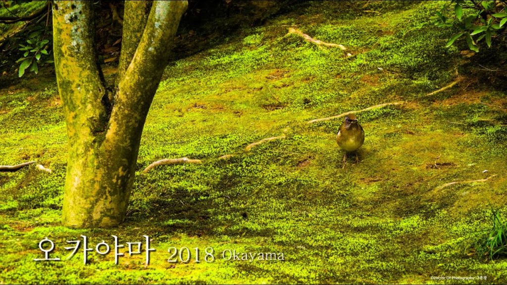 Japan Kurashiki, Okayama -일본 구라시키, 오카야마 2018 HLG