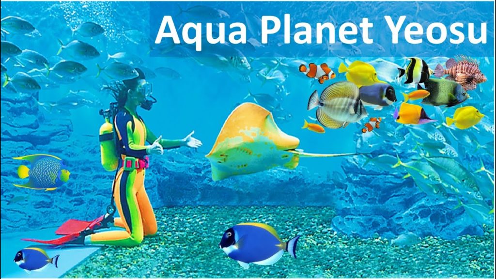 Hanwha Aqua Planet Yeosu (아쿠아플라넷 여수)