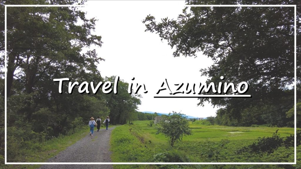 【Japan Walk 4K】Daio Wasabi Farm in Nagano | The Largest Wasabi Farm & a Popular Tourist Destination 【Japan Walk 4K】Daio Wasabi Farm in Nagano | The Largest Wasabi Farm & a Popular Tourist Destination