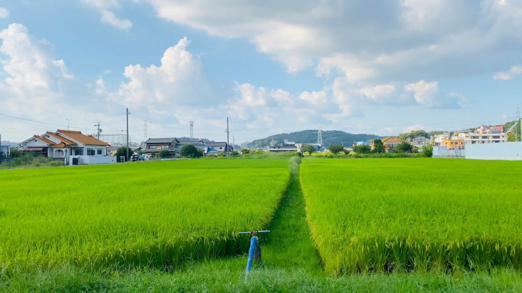 【4K】Japan Walk – Japanese Countryside Neighborhood Walking Tour | Nagoya Japan 2021/9 【4K】Japan Walk - Japanese Countryside Neighborhood Walking Tour | Nagoya Japan 2021/9