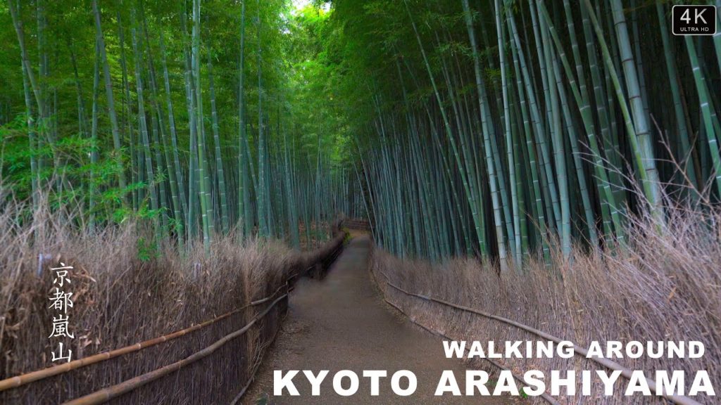 Kyoto Arashiyama walk丨1000-year-old bamboo forest丨Silence, gloom, tourist attraction【Japan walk 4K】 Kyoto Arashiyama walk丨1000-year-old bamboo forest丨Silence, gloom, tourist attraction【Japan walk 4K】