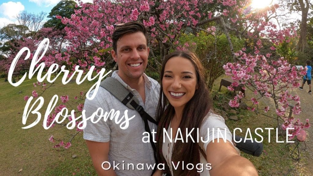 Cherry Blossoms at Nakijin Castle | Okinawa Vlog