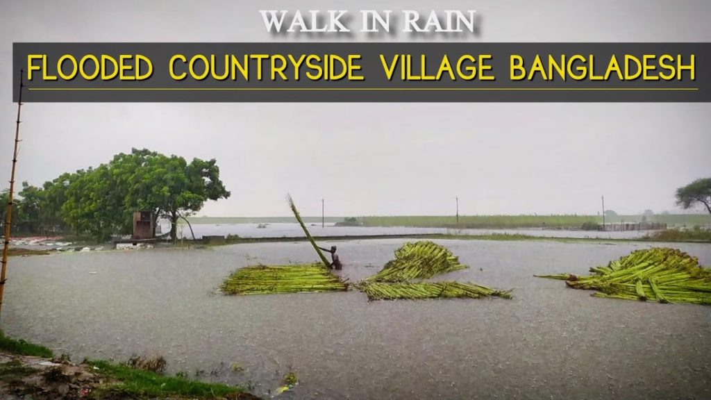Walking Tour in Thunderstorm Countryside Bangladesh| ASMR