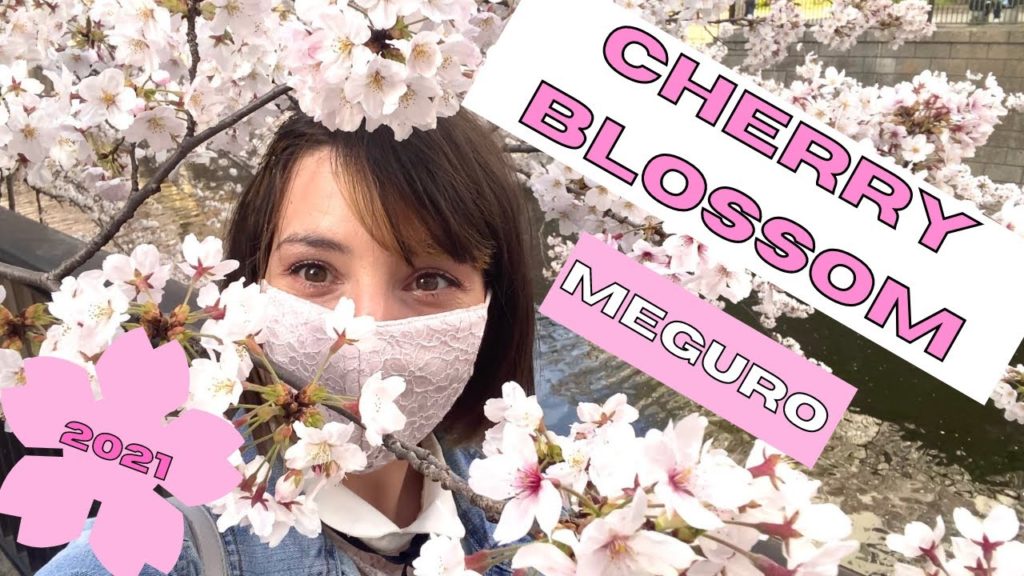 CHERRY BLOSSOM/Spring Season in Tokyo, Japan in 2021-4K CHERRY BLOSSOM/Spring Season in Tokyo, Japan in 2021-4K