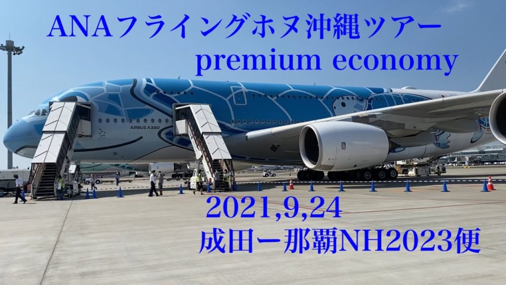 A380フライングホヌ沖縄ツアー NH 2023便　ANA A380 Flying Honu Okinawa Tour  NH2023 flight Narita → Naha
