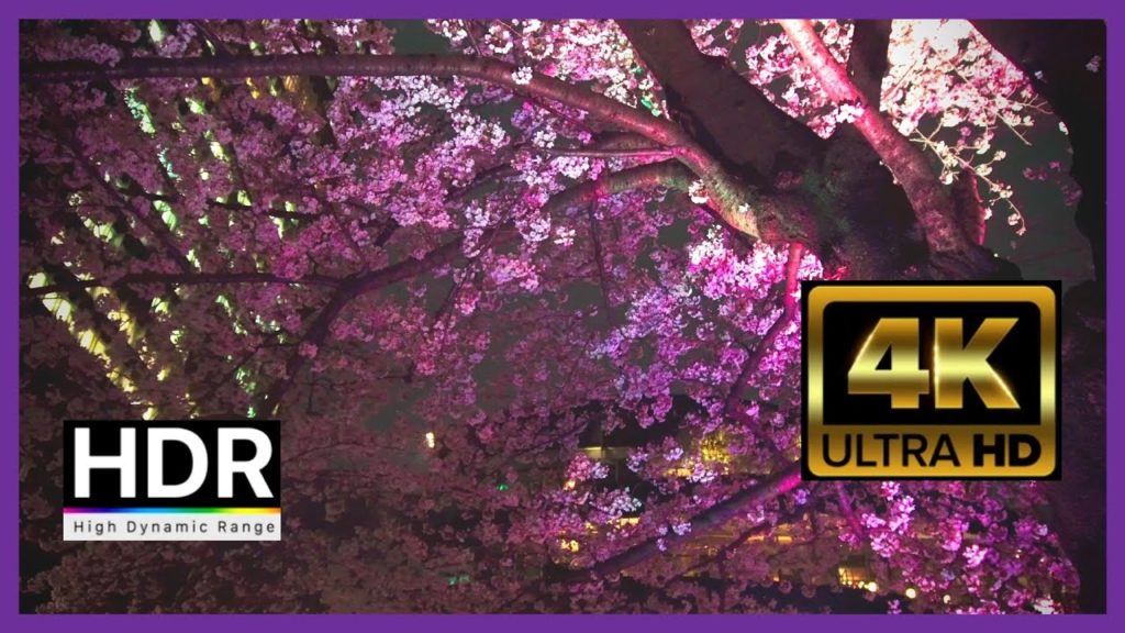 Night Sakura Tokyo Midtown 2021 [4K] HDR