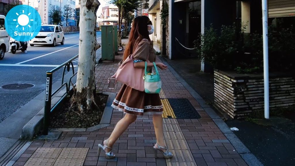 Tokyo: from Nishi Nippori Sta. to Uguisudani Sta. (西日暮里駅から鶯谷駅) – Walking Tour (September 20, 2021) Tokyo: from Nishi Nippori Sta. to Uguisudani Sta. (西日暮里駅から鶯谷駅) - Walking Tour (September 20, 2021)