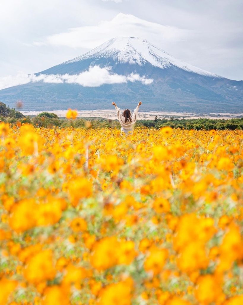 Visit Japan: Is this a new combination of Mt. Fuji and flowers for you?
Those of you lucky en… Is this a new combination of Mt. Fuji and flowers for you?
Those of you lucky en...
