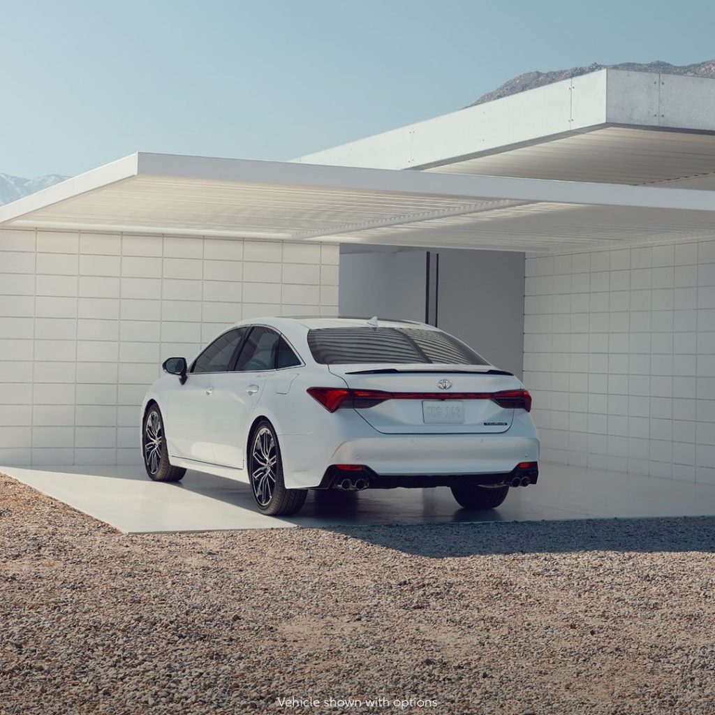 Throwing shade.  #Avalon #LetsGoPlaces...