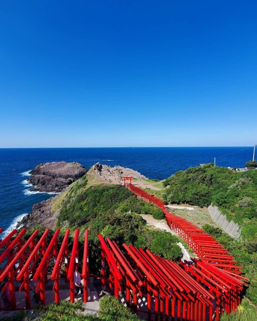 What stands out to you more, the vibrant cobalt blue sea or countless vermillion...