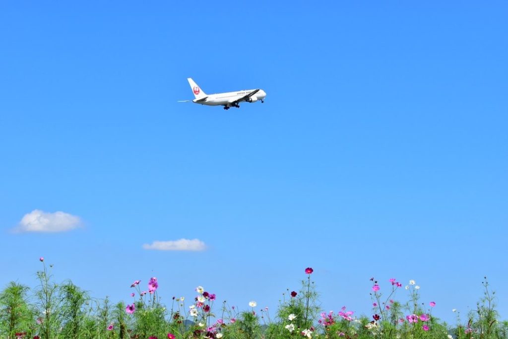 .
A collaboration of aircraft and cosmos.
I want to be able to travel again.
#Se...