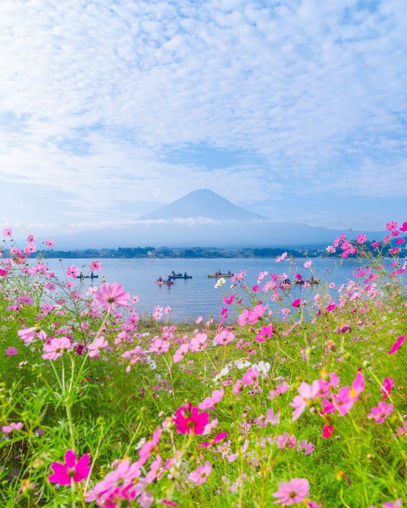 Japan Airline: .
Lake Kawaguchi at the foot of Mt. Fuji.
A crisp, fresh morning in the middle o… .
Lake Kawaguchi at the foot of Mt. Fuji.
A crisp, fresh morning in the middle o...