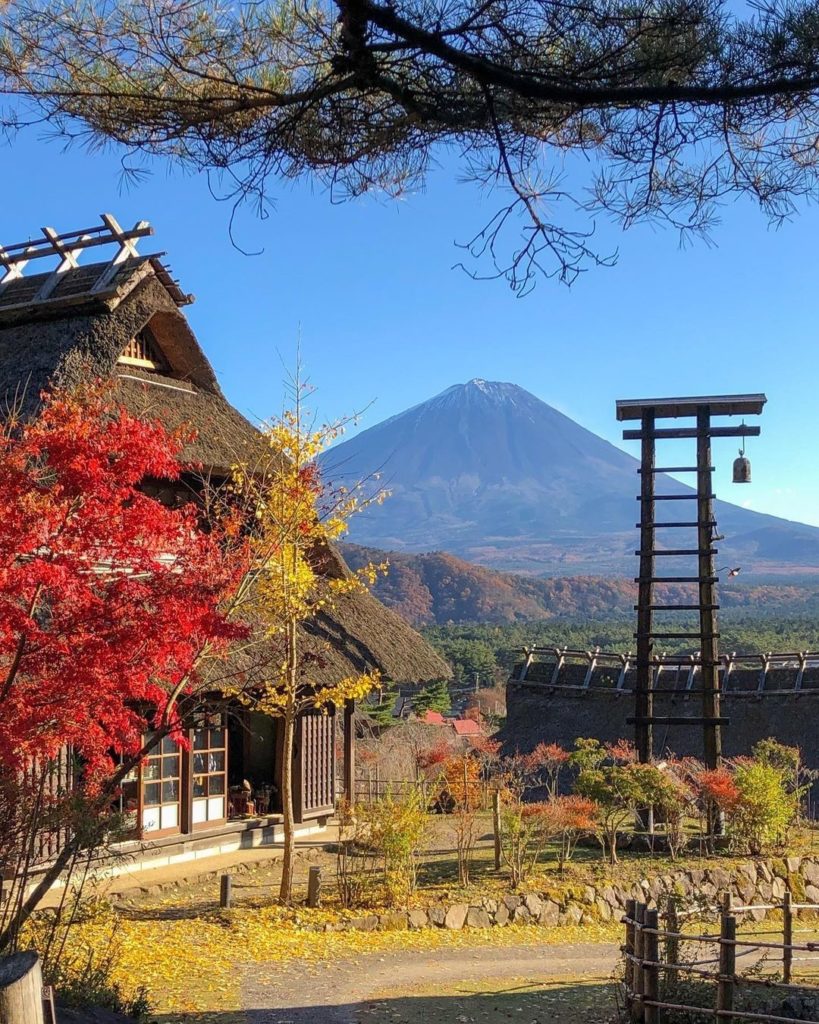 Have you ever seen Mt. Fuji without snow?
Taken from the Saiko Iyashi-no-Sato Ne...