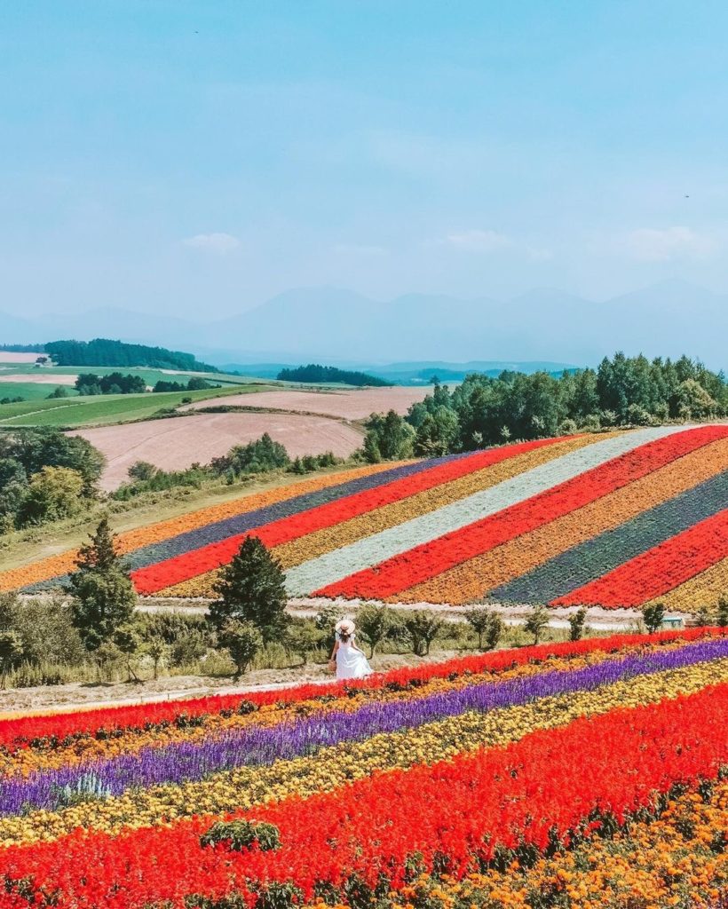 Visit Japan: Somewhere over the rainbow… sits another rainbow – of blooms that is! In the … Somewhere over the rainbow... sits another rainbow - of blooms that is! In the ...
