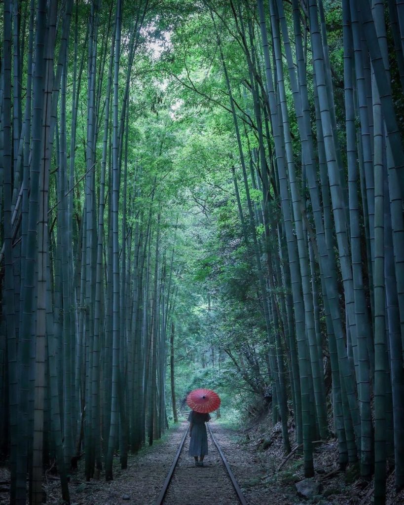 Though the Kurayoshi Railway Line is abandoned, people still enjoy visiting the ...