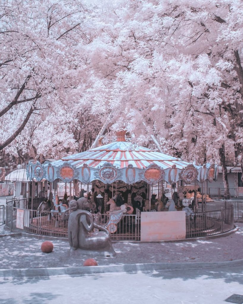 Marry go round of life ...