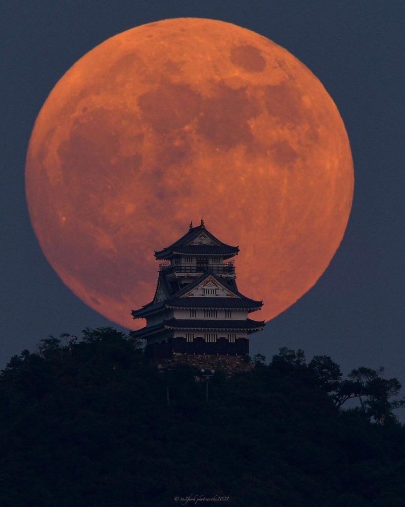 In Japan, there is an autumn custom of “moon viewing” or “tsukimi”, in which peo...