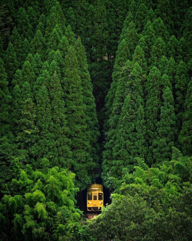 Mother Nature is doing some serious flexing in Oita Prefecture!  Brimming with s...