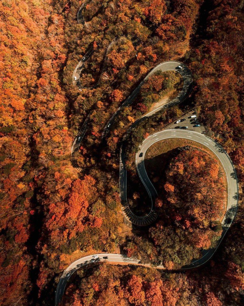 One of our favorite autumn destinations in day-trip distance from Tokyo is #Nikk...