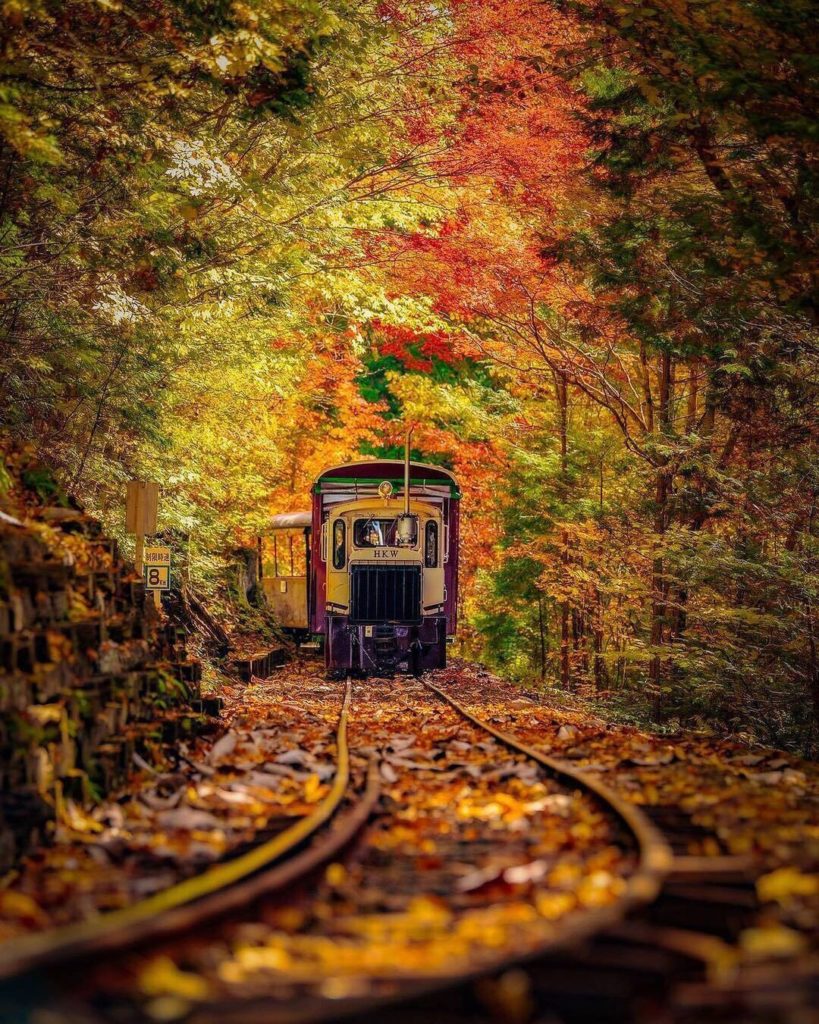 The fall foliage at the Akasawa Natural Recreation Forest is exceptional  Enjoy ...