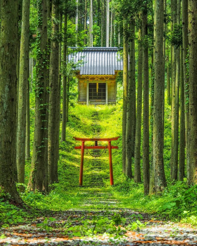 Visit Japan: Want to be spirited away? Wander through the red torii gate and you might find … Want to be spirited away? Wander through the red torii gate and you might find ...