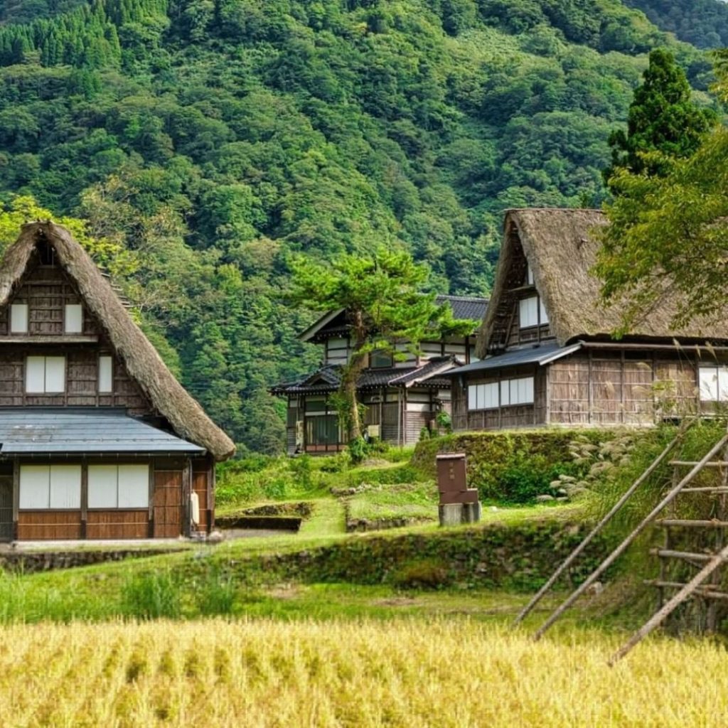 Dreaming of your next holiday to Japan? While we’re unable to travel, let our ne...