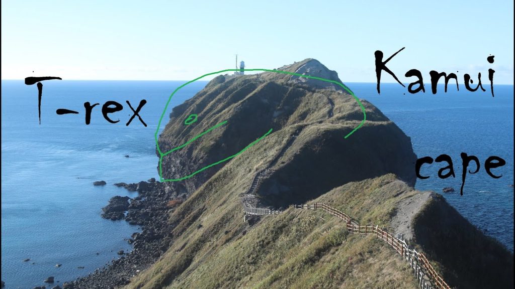 Kamui Cape - przylądek T-rexa