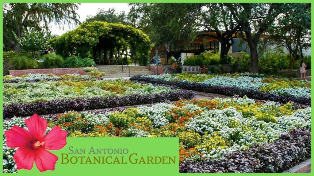 San Antonio Botanical Garden | San Antonio, Texas