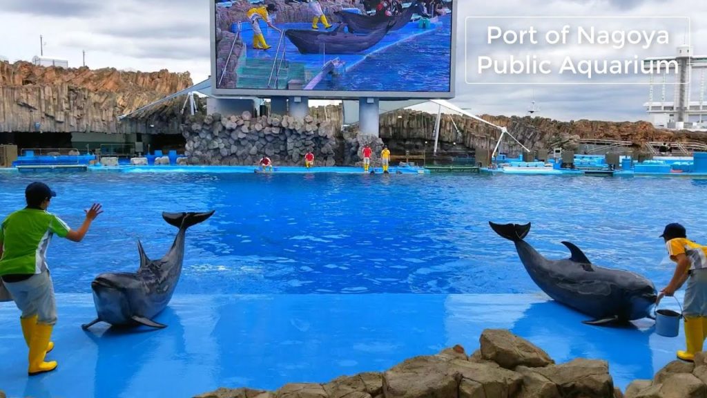 Port of Nagoya Public Aquarium – Top places to visit in Nagoya – Japan Travel – JV GO Port of Nagoya Public Aquarium - Top places to visit in Nagoya - Japan Travel - JV GO