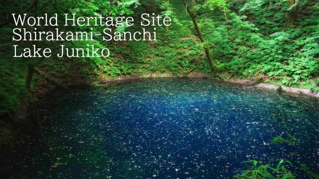 Blue Pond in Lake Juni(白神山地・十二湖・青池) | Beautiful Nature of Shirakami in Aomori Japan 青森観光 世界遺産 自然風景