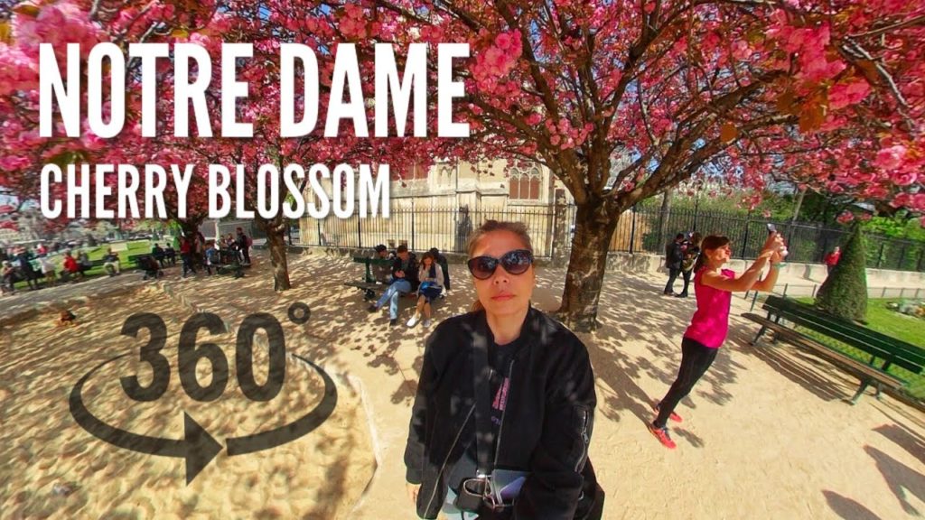 Notre Dame Cherry Blossoms in Paris - April 2019 - 360º VR