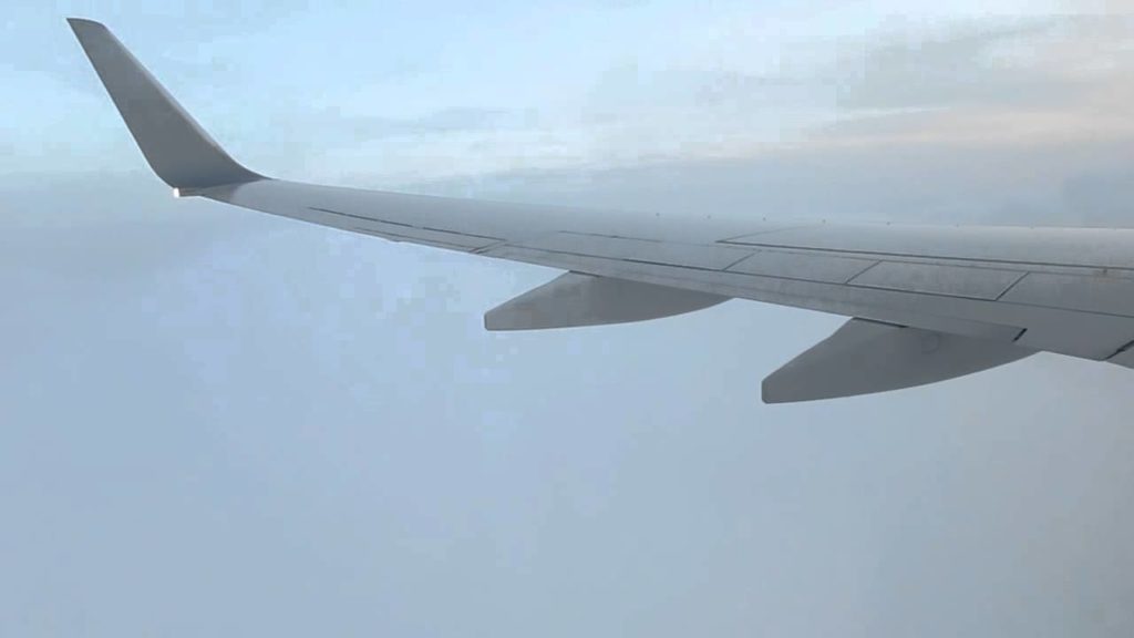 2015/03-15 JL1689 Haneda-Okayama#6