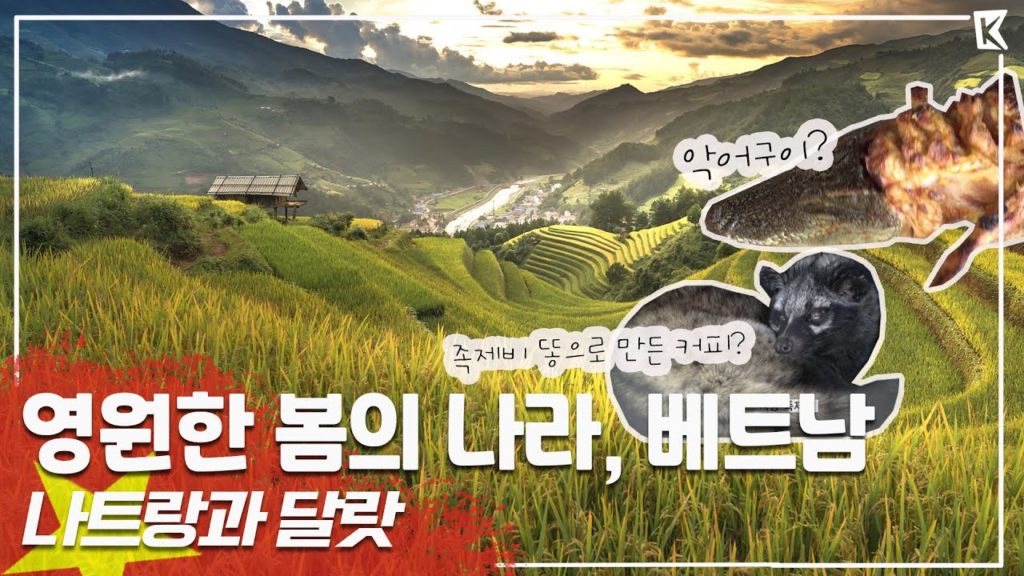 없어서 못 먹는 악어구이와 뱀구이! 베트남 남부를 맛보다 '나트랑과 달랏' Trip to Vietnam(KBS_20180428) 없어서 못 먹는 악어구이와 뱀구이! 베트남 남부를 맛보다 '나트랑과 달랏' Trip to Vietnam(KBS_20180428)