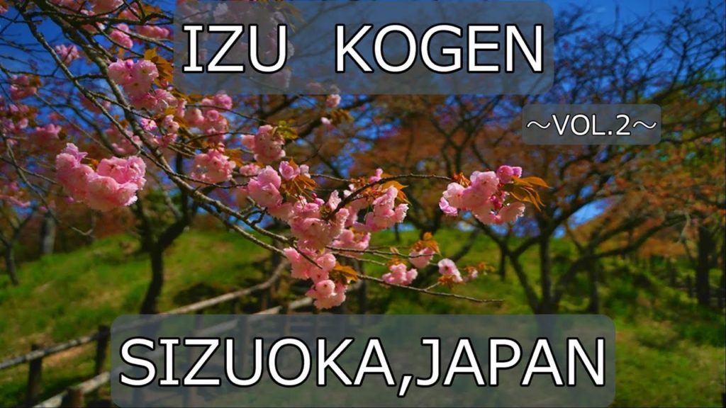 Walking Around IZUKOGEN Vol2【Shizuoka,Japan】