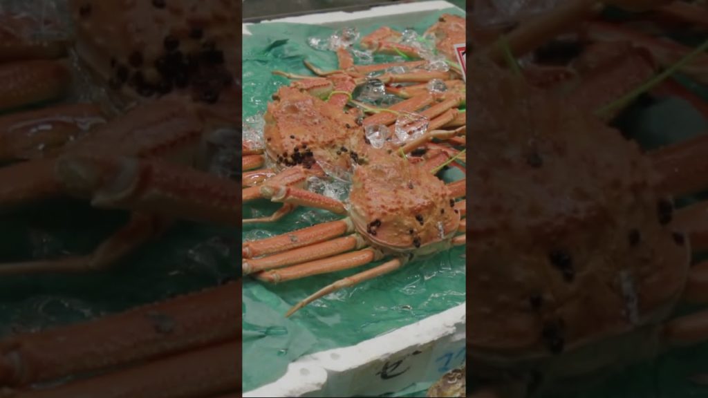 One of the best Place Japan! #shorts #trending #viral