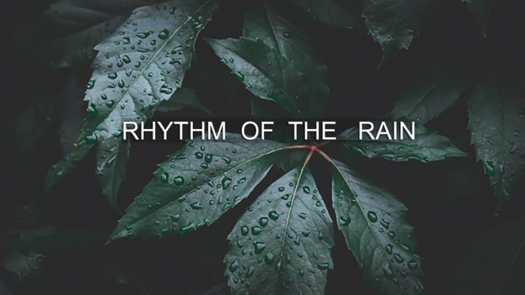 Musings from Nature - THE RHYTHM OF RAIN