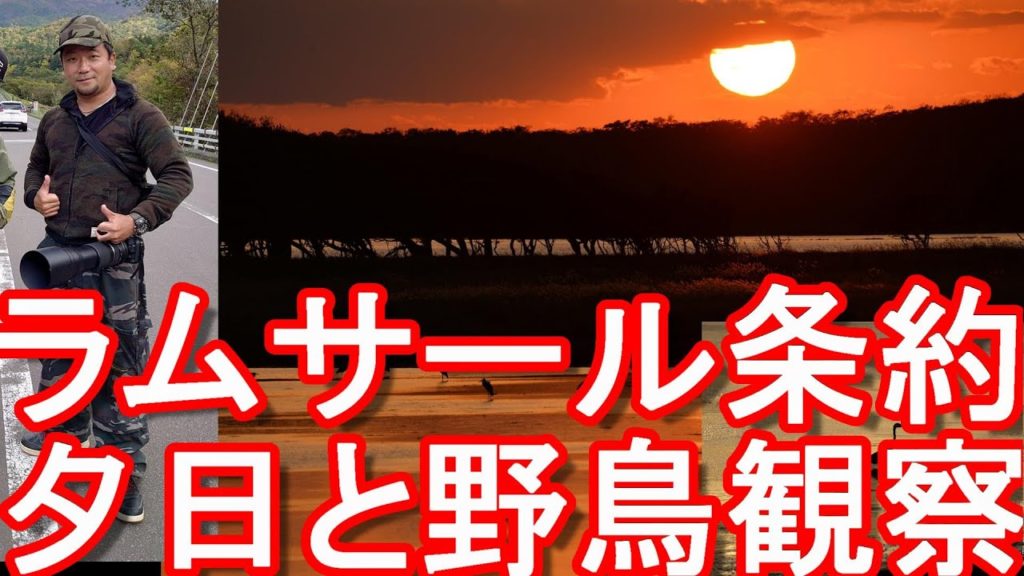 北海道標津町-ラムサール条約に登録『野付半島』夕映えした湿地と野鳥&北方領土「国後島」を望む Notsuke Peninsula in Hokkaido,Japan 北海道標津町-ラムサール条約に登録『野付半島』夕映えした湿地と野鳥&北方領土「国後島」を望む Notsuke Peninsula in Hokkaido,Japan